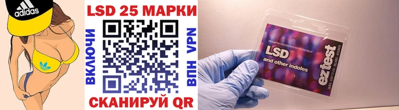где можно купить наркотик  Тулун  Марки 25I-NBOMe 1500мкг 